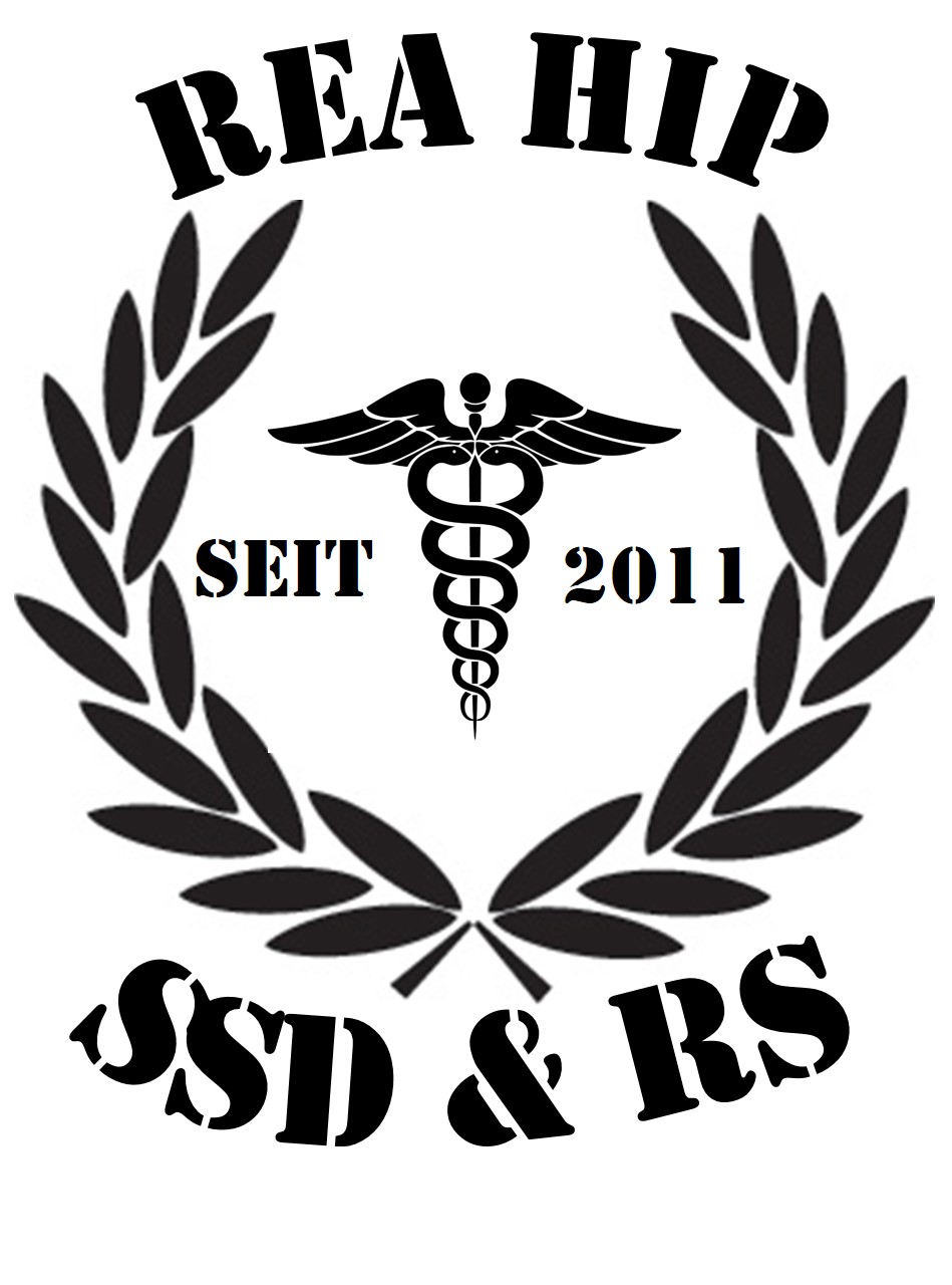 logo ssd 1